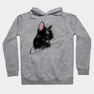 Love for Black Cats Hoodie